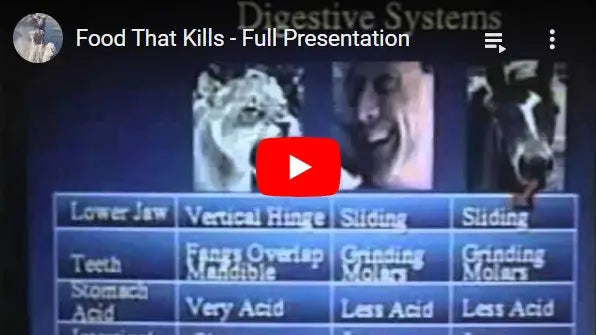 Food-That-Kills-Full-Presentation Core Immune Health