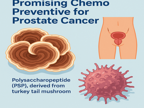 PSP: A Promising Chemo Preventive for Prostate Cancer