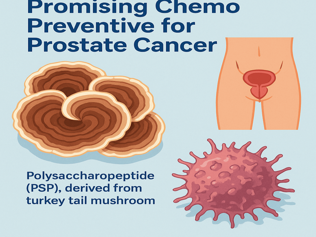 🦀 PSP: A Promising Chemo Preventive for Prostate Cancer