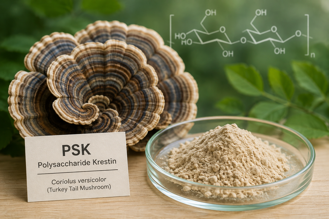 Polysaccharide Krestin: A Mushroom Extract Like No Other
